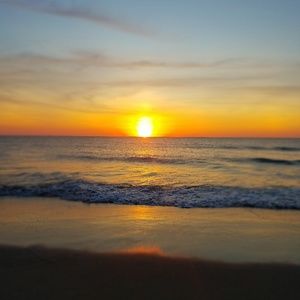 Meet your Posher, Paige